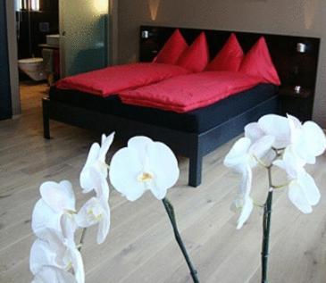 Hotel Quersinn Pfäffikon Szoba fotó